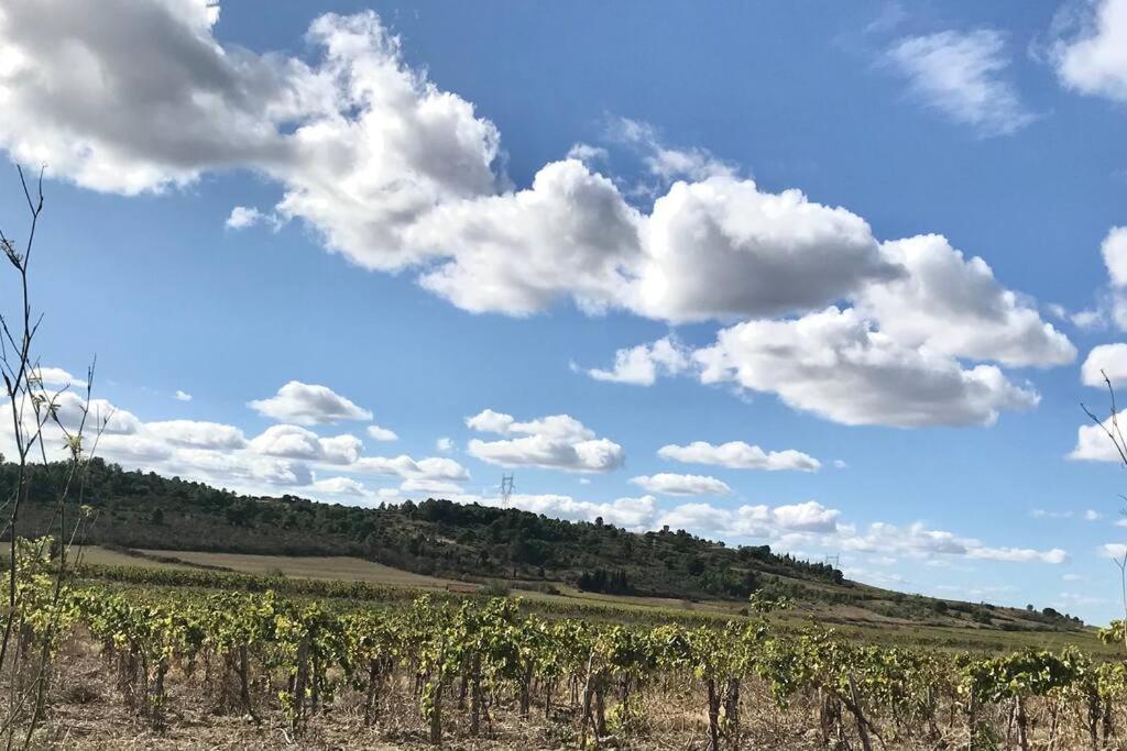 Appartement Le Jutini Caunes-Minervois Exterior foto